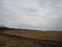 p1010007.jpg