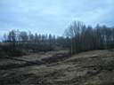 p1010008.jpg